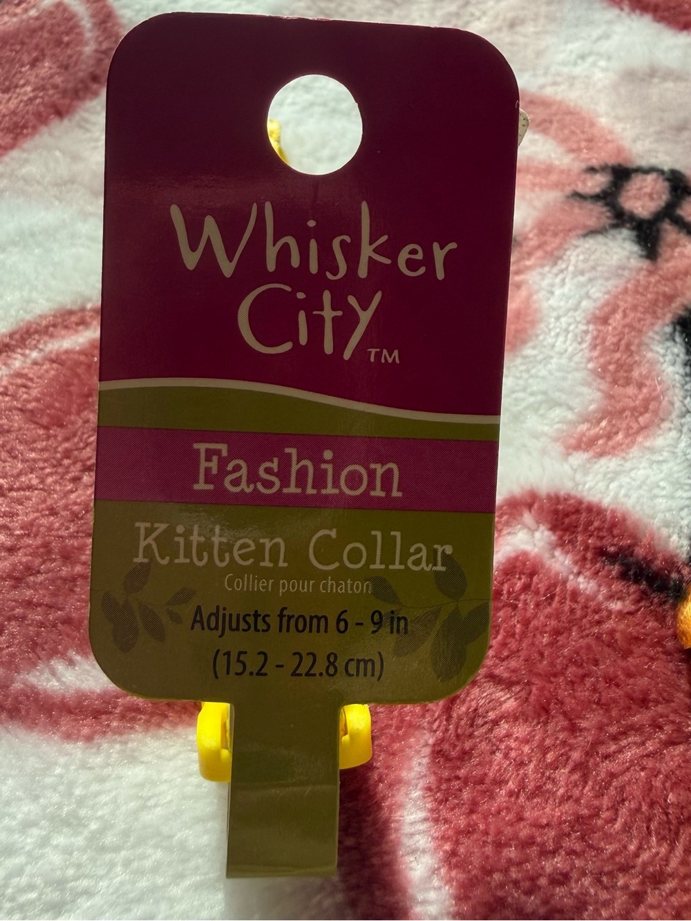 Kitten Collars - Picture 5 of 6